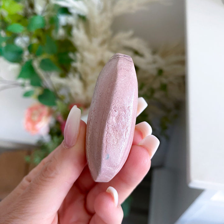 Pretty Pink Picture Jasper Palm 