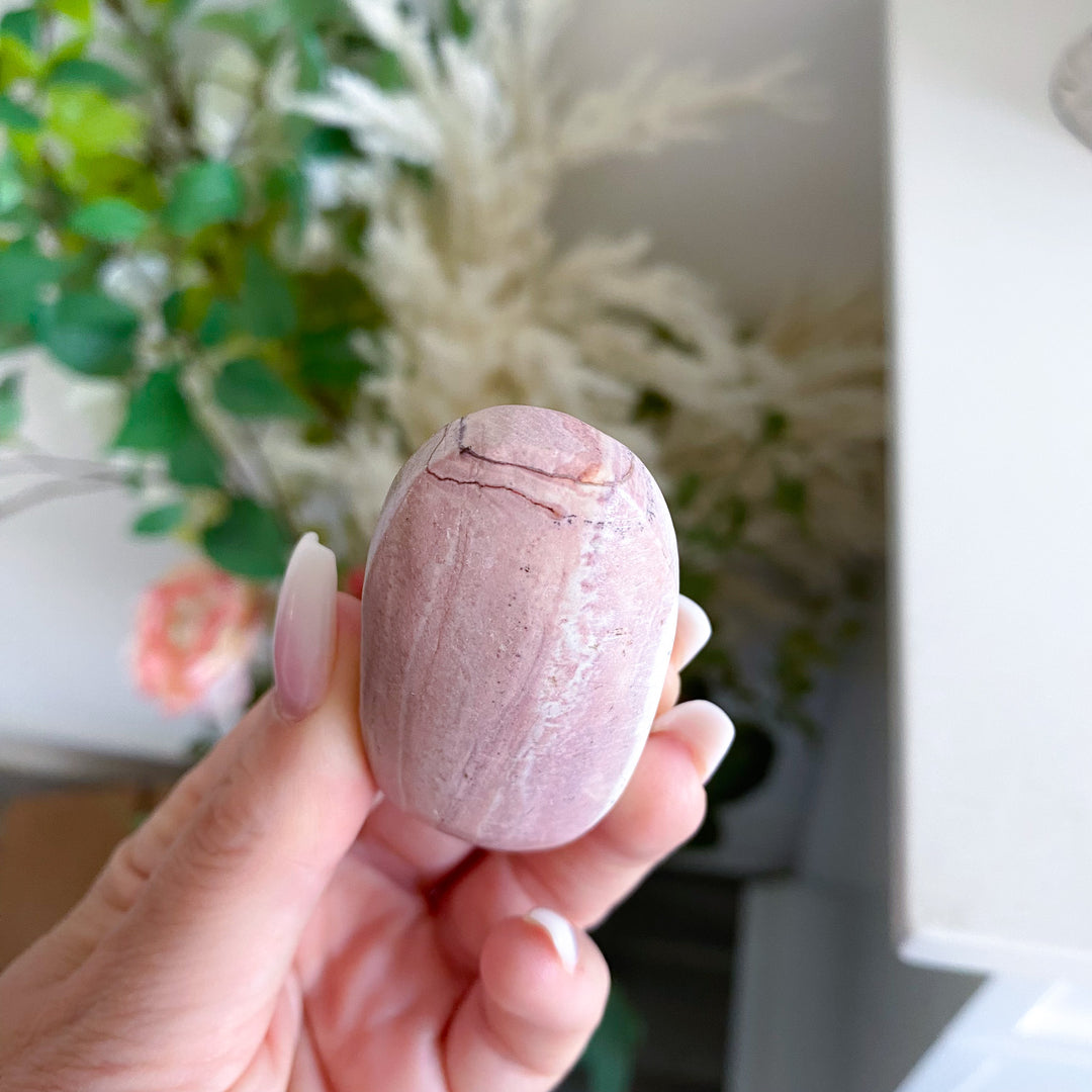 Pretty Pink Picture Jasper Palm 