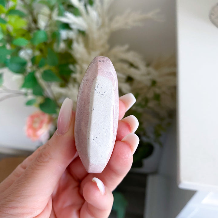 Pretty Pink Picture Jasper Palm 