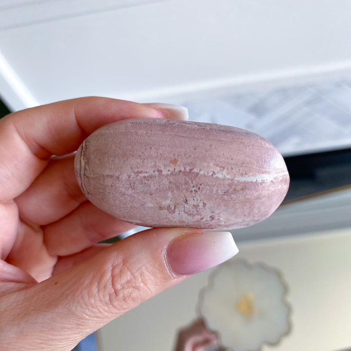 Pretty Pink Picture Jasper Palm 