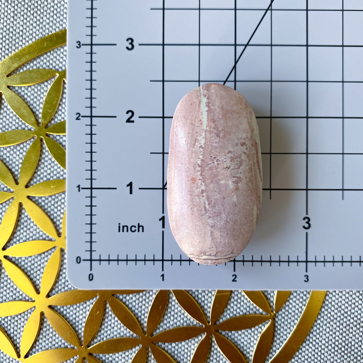 Pretty Pink Picture Jasper Palm 
