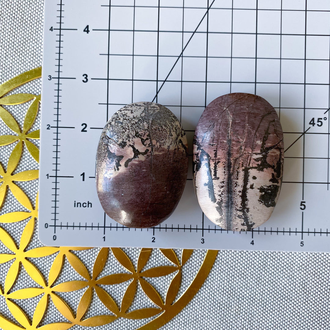 Ombre Mauve Picture Jasper Palm