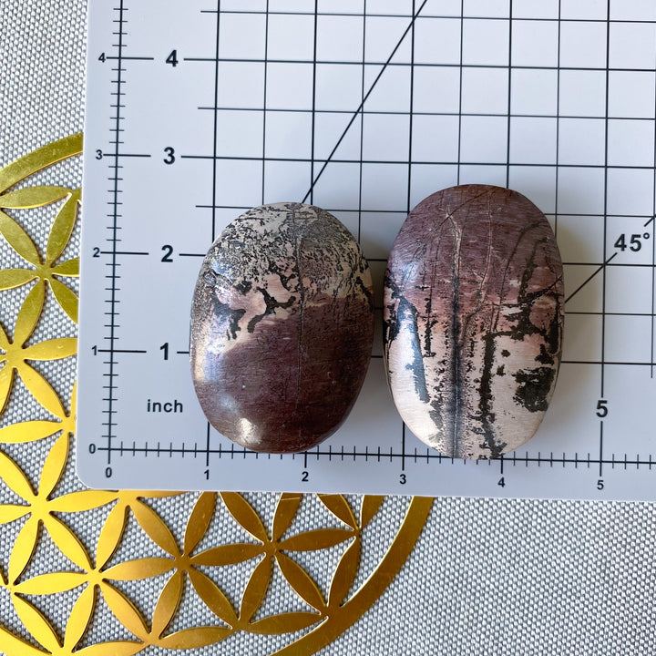 Ombre Mauve Picture Jasper Palm