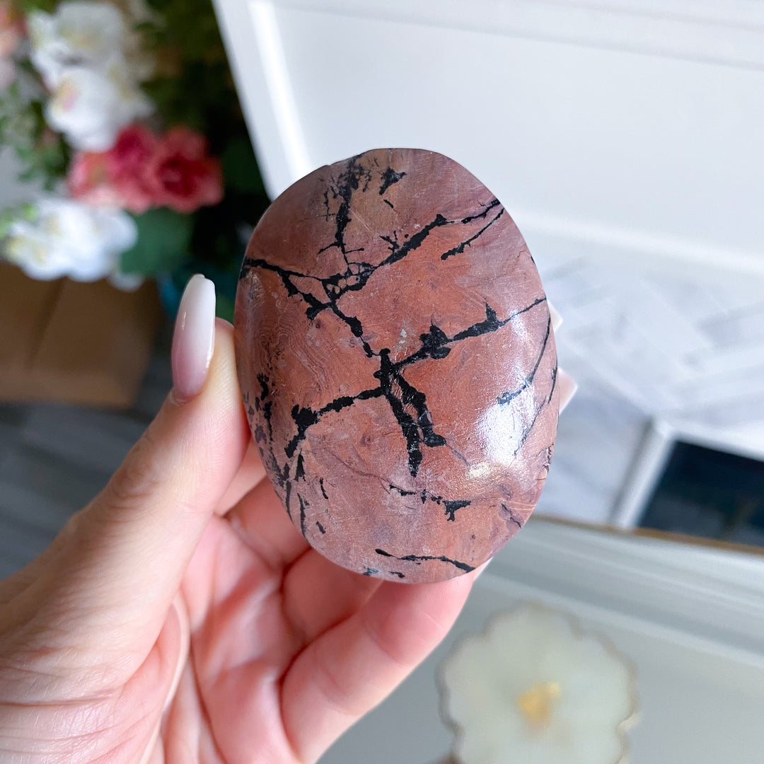 Spunky Pink Picture Jasper Palm 