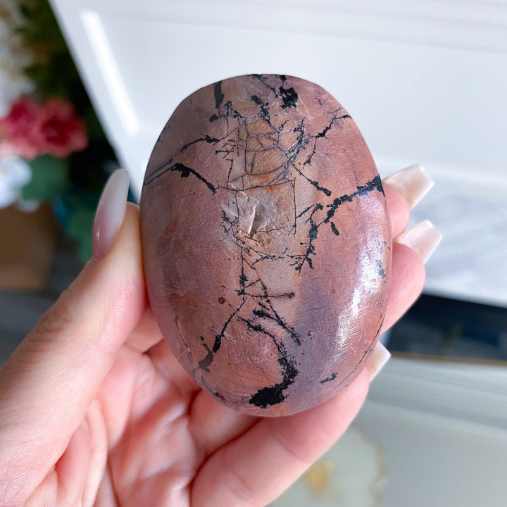Spunky Pink Picture Jasper Palm 