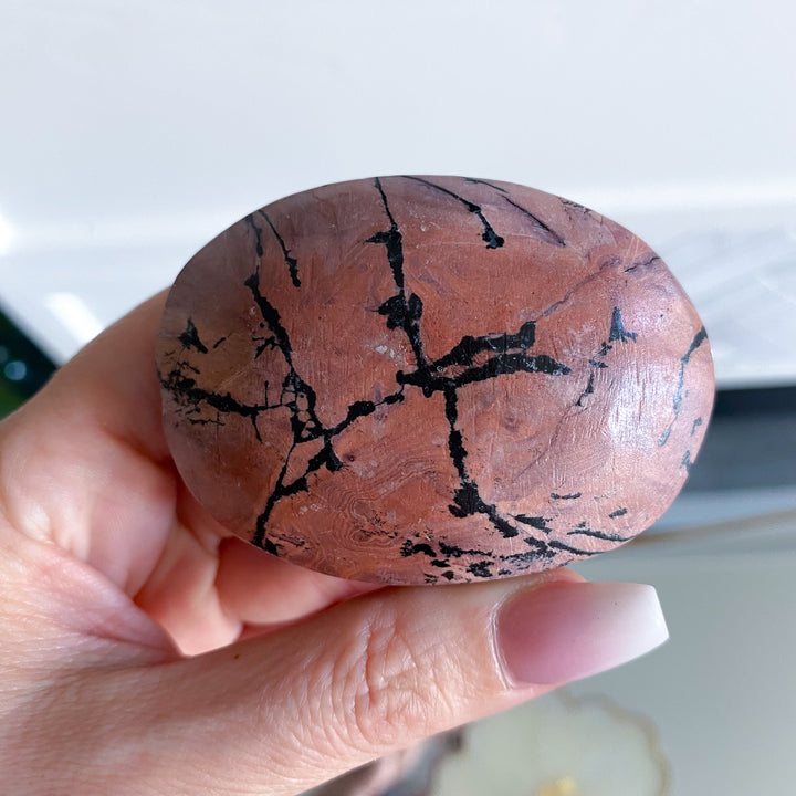 Spunky Pink Picture Jasper Palm 