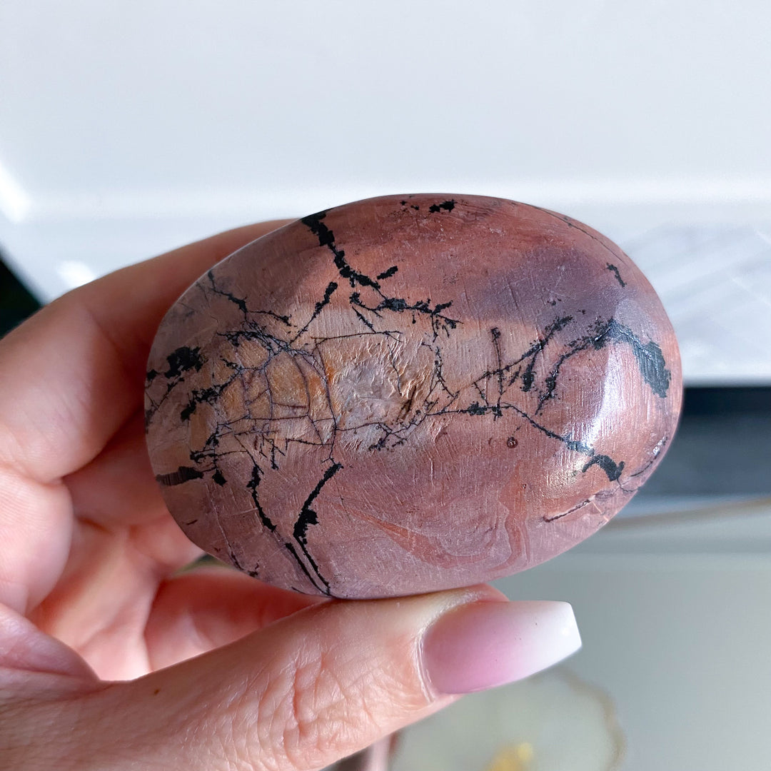 Spunky Pink Picture Jasper Palm 
