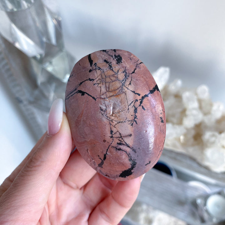 Spunky Pink Picture Jasper Palm 