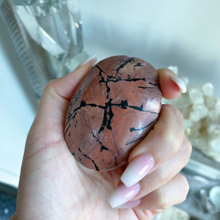 Spunky Pink Picture Jasper Palm 