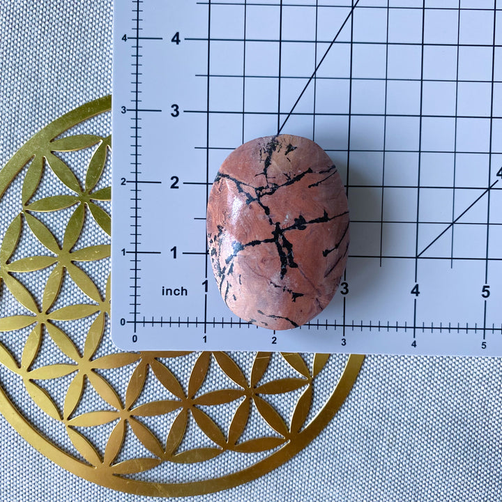 Spunky Pink Picture Jasper Palm 