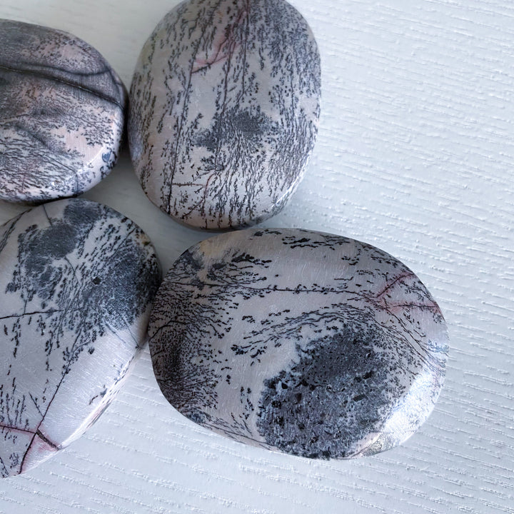 Dendritic Picture Jasper Palm