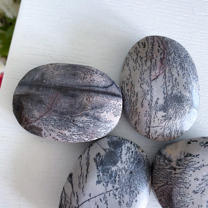 Dendritic Picture Jasper Palm