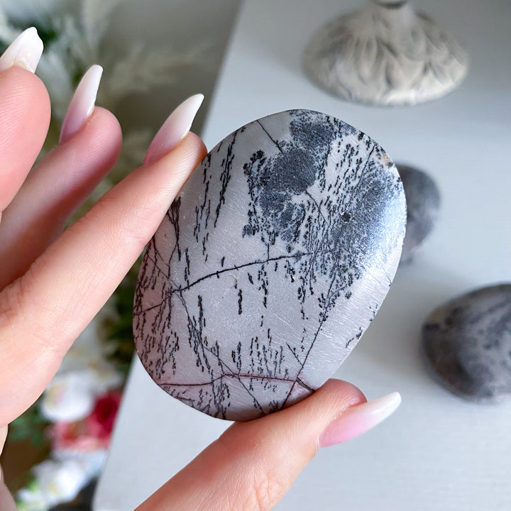 Dendritic Picture Jasper Palm