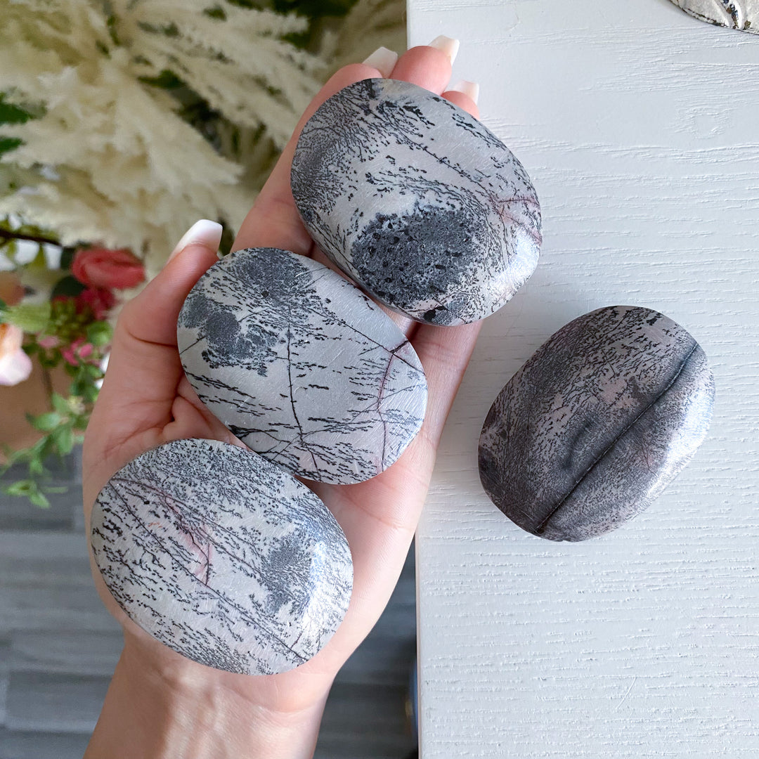 Dendritic Picture Jasper Palm