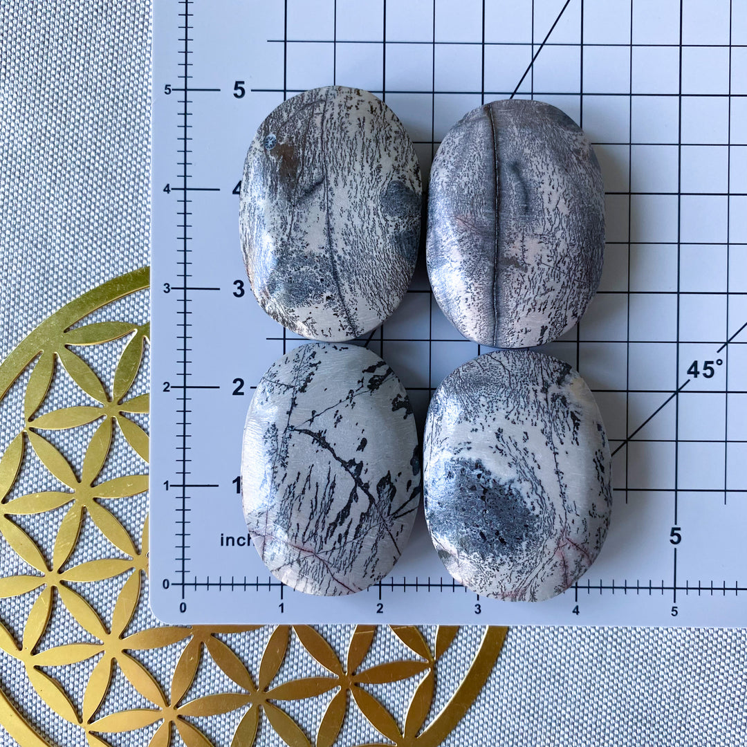 Dendritic Picture Jasper Palm
