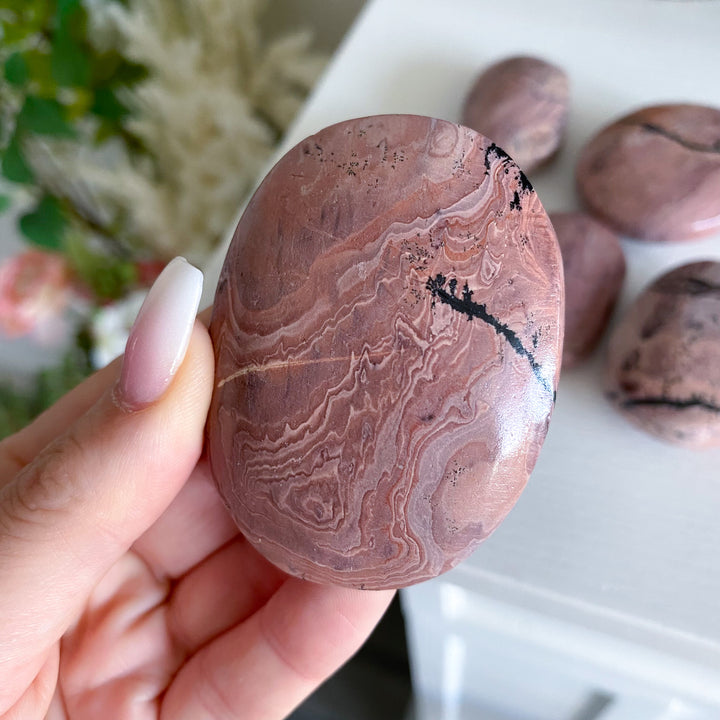 Bubblegum Pink Picture Jasper Palm