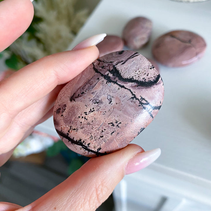 Bubblegum Pink Picture Jasper Palm