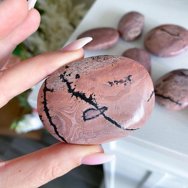 Bubblegum Pink Picture Jasper Palm