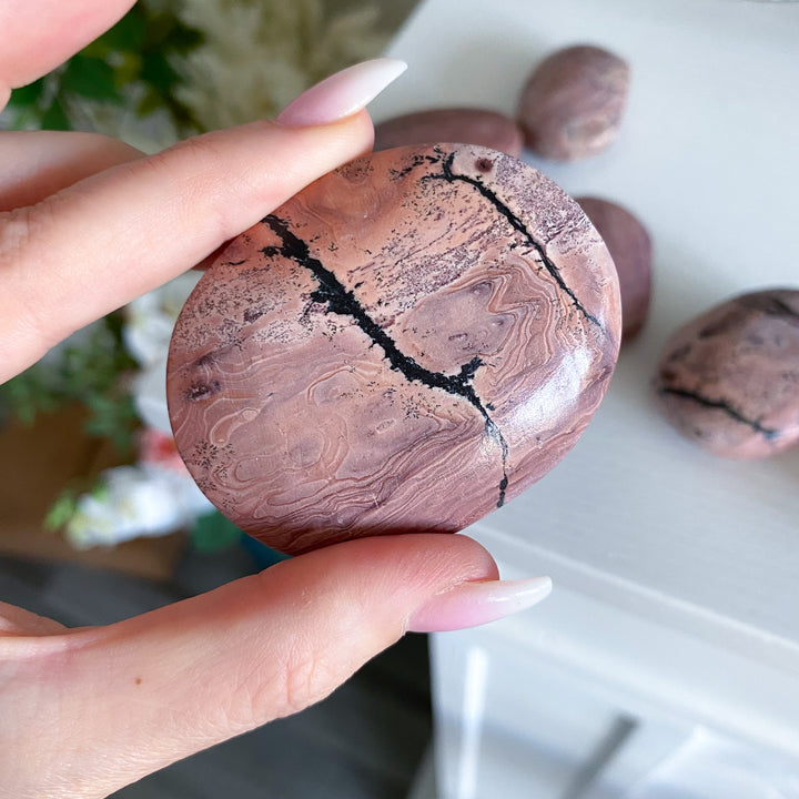 Bubblegum Pink Picture Jasper Palm
