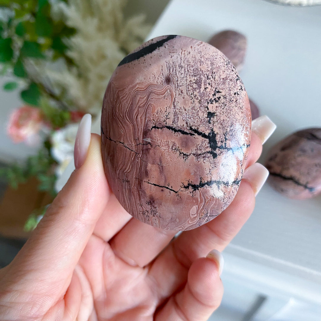 Bubblegum Pink Picture Jasper Palm