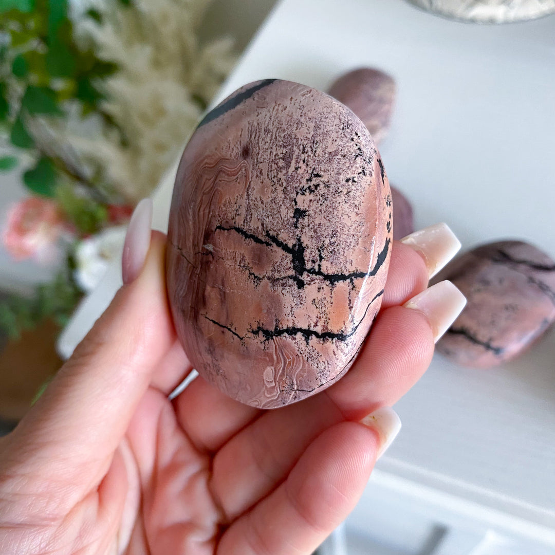 Bubblegum Pink Picture Jasper Palm