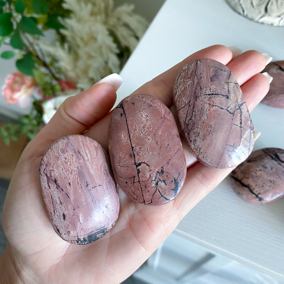 Bubblegum Pink Picture Jasper Palm