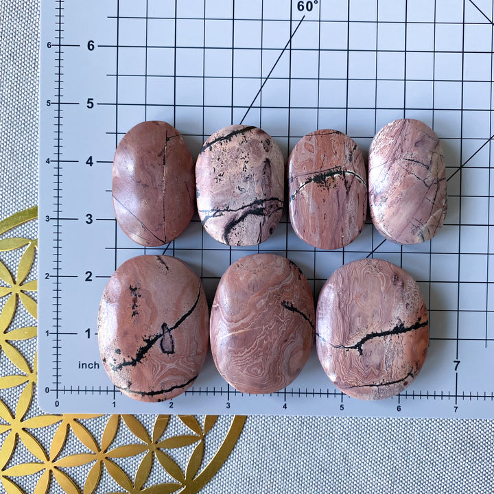 Bubblegum Pink Picture Jasper Palm
