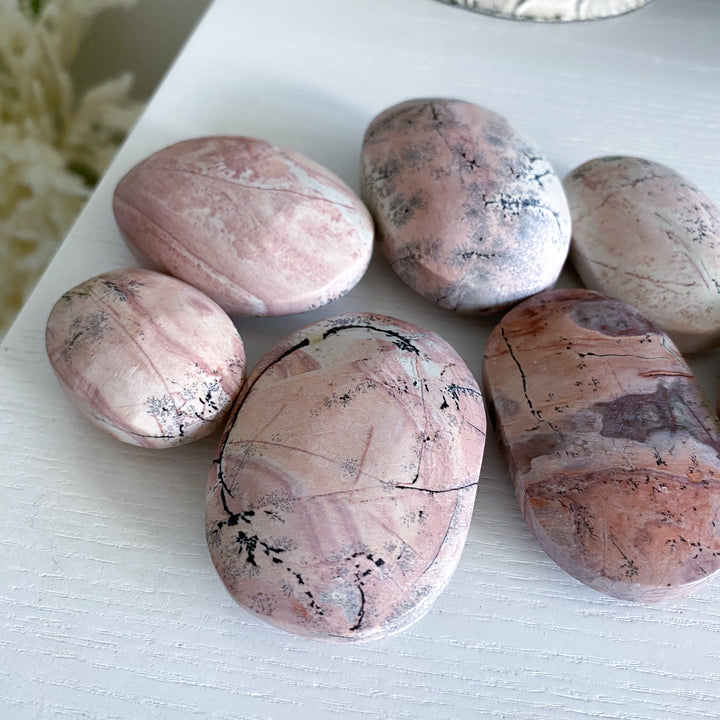 Pale Pastel Pink Picture Jasper Palm