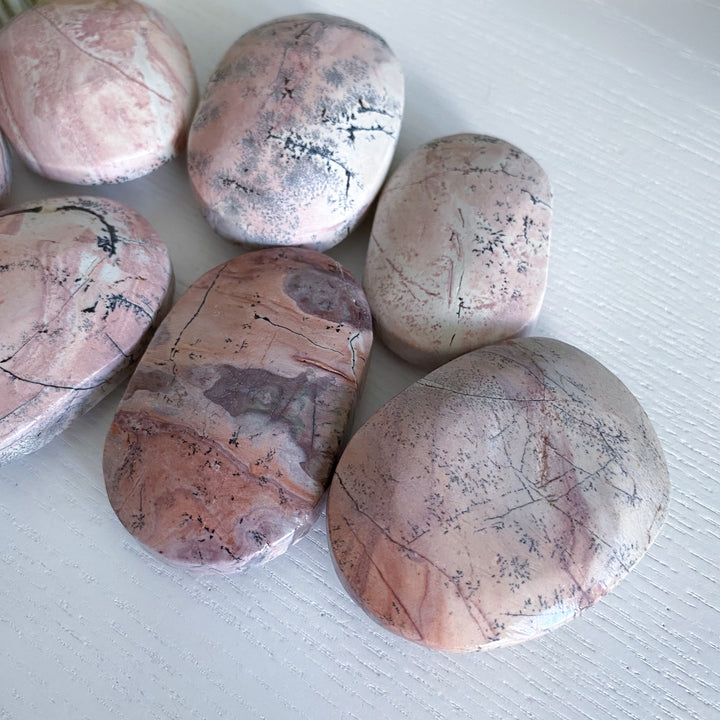 Pale Pastel Pink Picture Jasper Palm