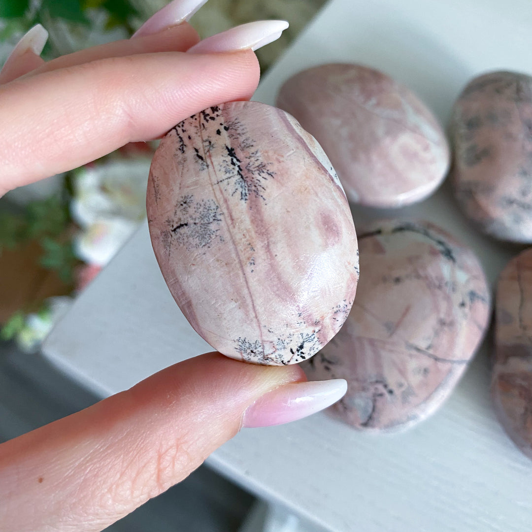 Pale Pastel Pink Picture Jasper Palm