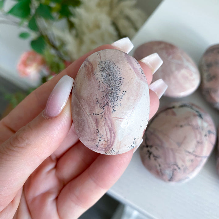 Pale Pastel Pink Picture Jasper Palm