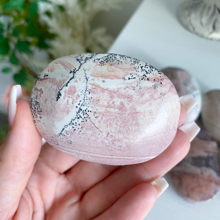 Pale Pastel Pink Picture Jasper Palm