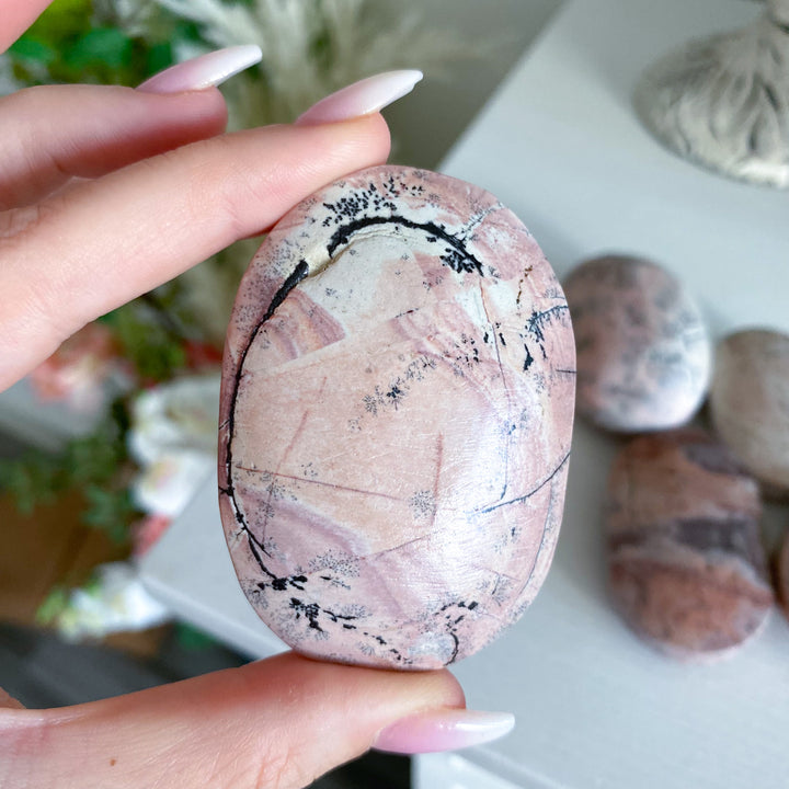 Pale Pastel Pink Picture Jasper Palm