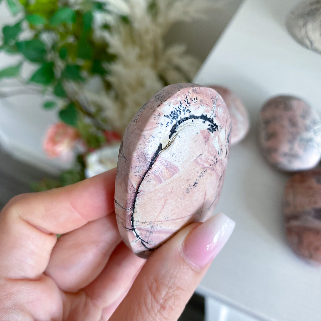 Pale Pastel Pink Picture Jasper Palm