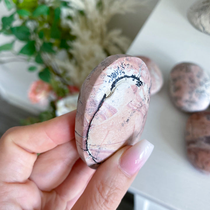 Pale Pastel Pink Picture Jasper Palm