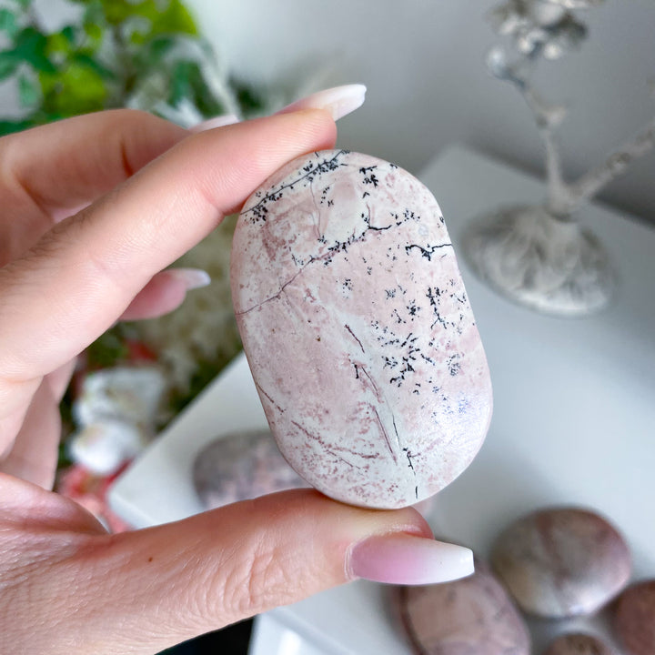 Pale Pastel Pink Picture Jasper Palm
