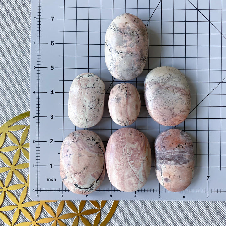 Pale Pastel Pink Picture Jasper Palm