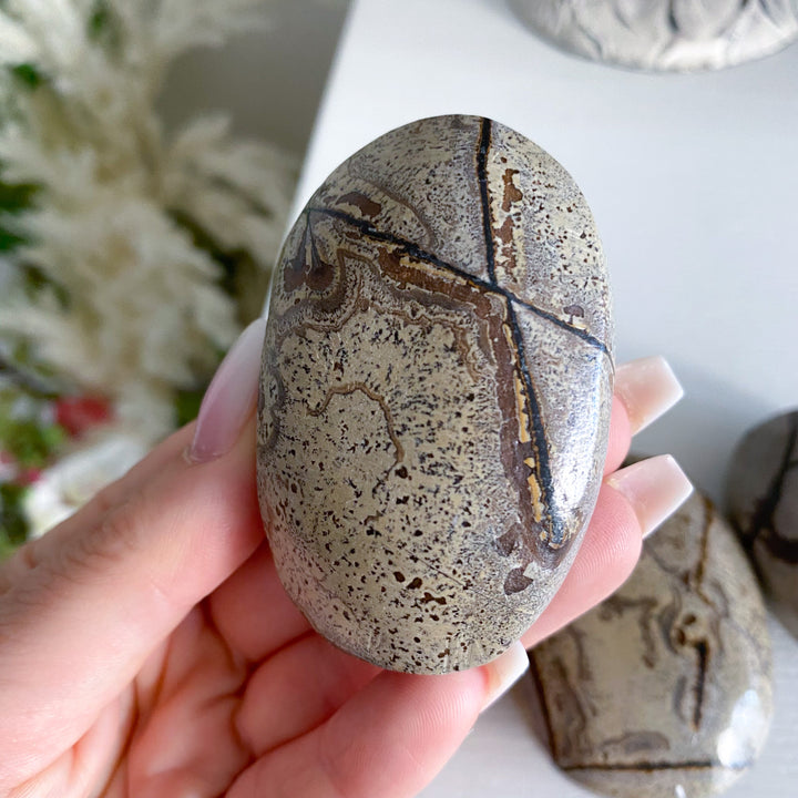 Sandy Sahara Picture Jasper Palm
