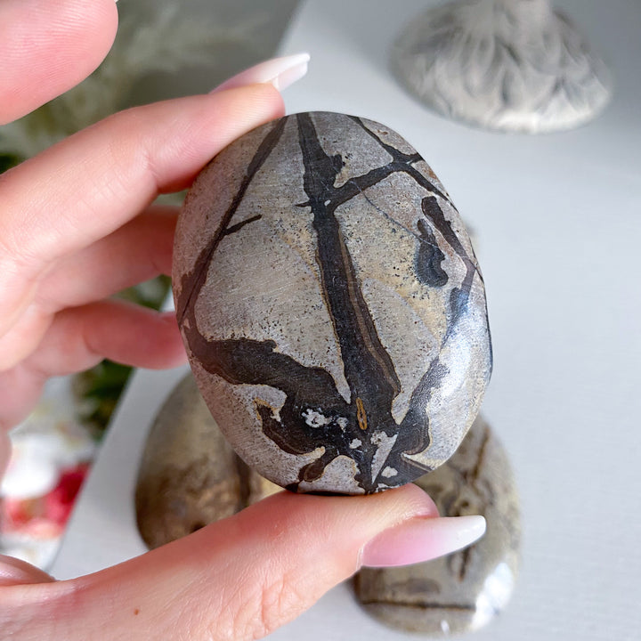 Sandy Sahara Picture Jasper Palm