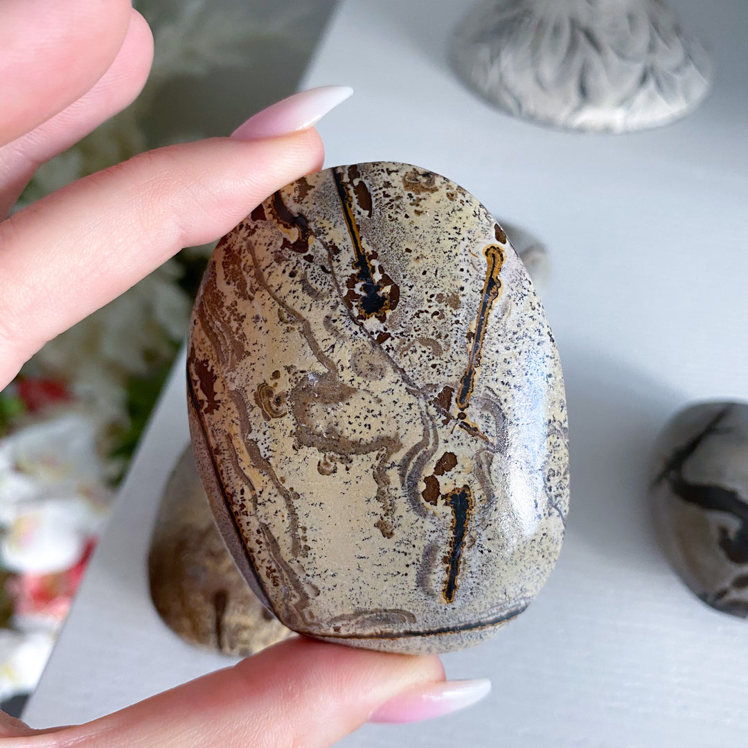 Sandy Sahara Picture Jasper Palm