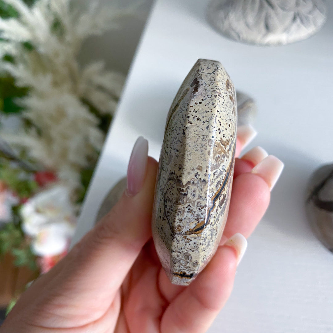Sandy Sahara Picture Jasper Palm