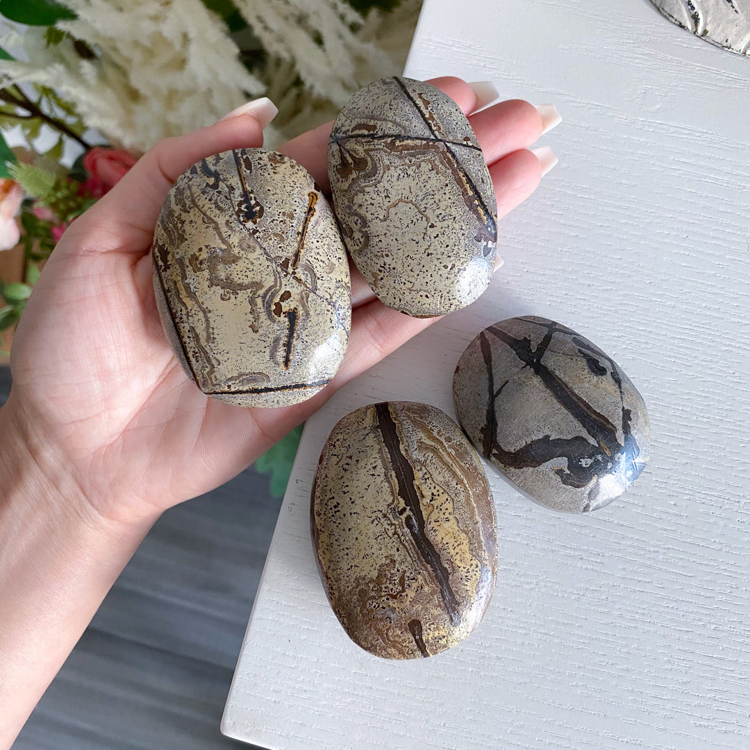 Sandy Sahara Picture Jasper Palm
