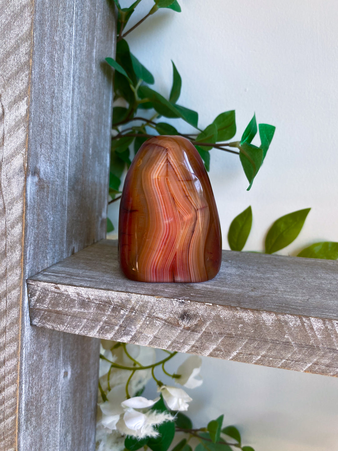 Carnelian Freeform #2