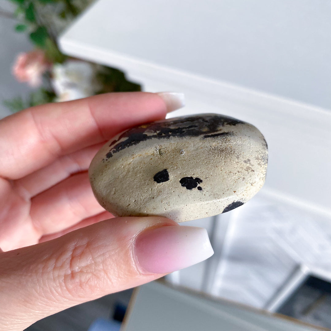 Small Spotted Picture Jasper Palm 