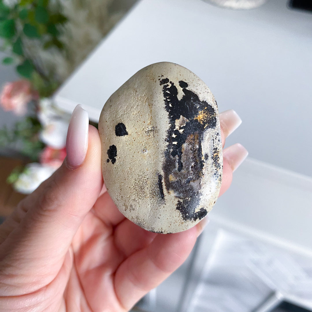 Small Spotted Picture Jasper Palm 