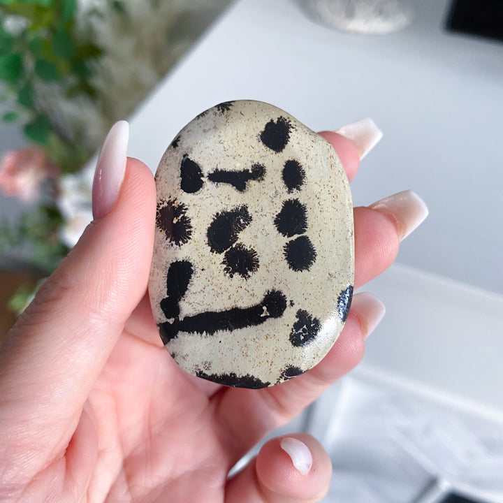 Small Spotted Picture Jasper Palm 