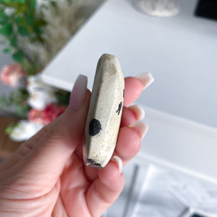 Small Spotted Picture Jasper Palm 