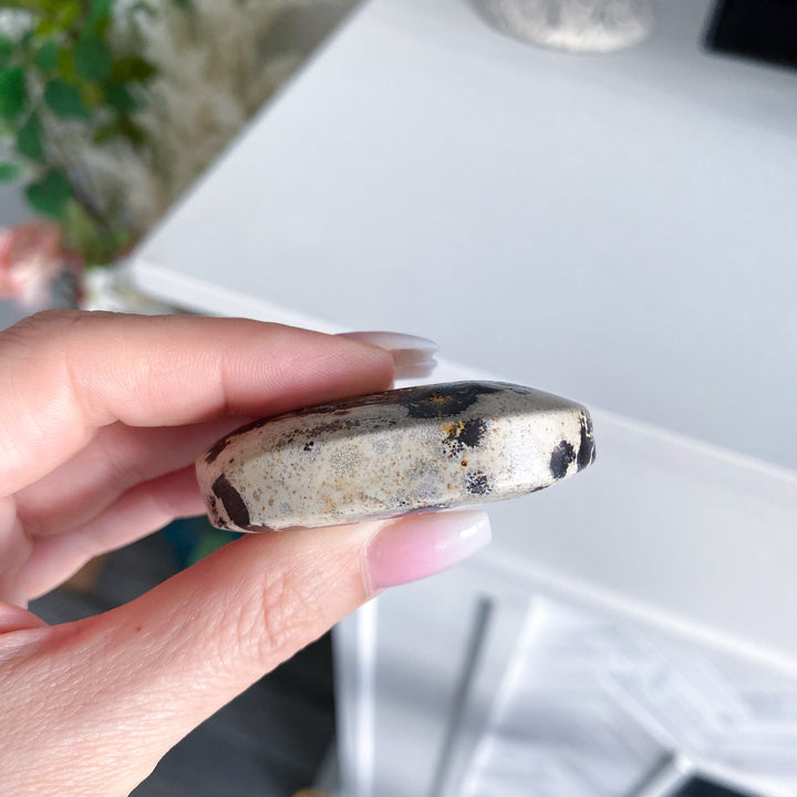 Small Spotted Picture Jasper Palm 