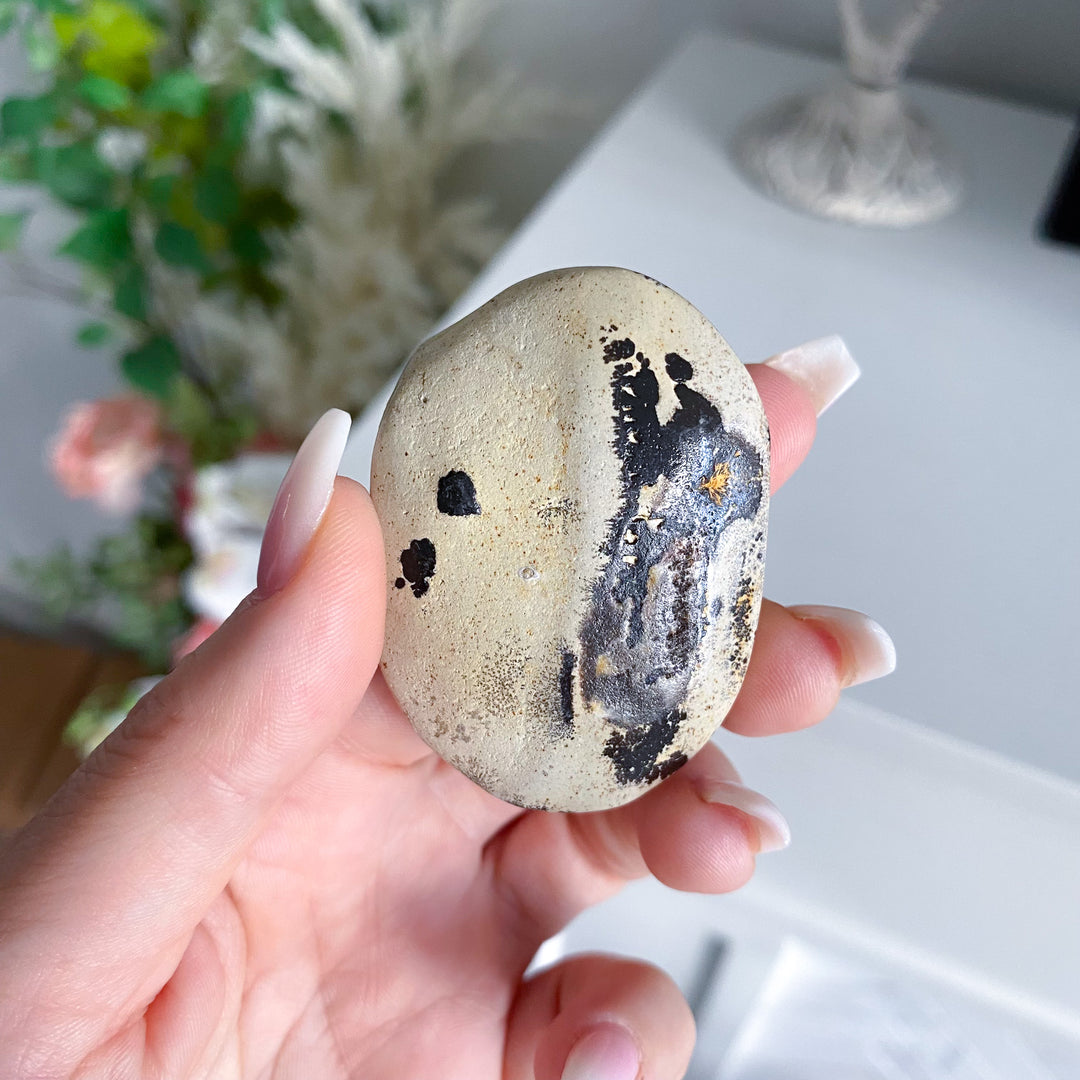 Small Spotted Picture Jasper Palm 