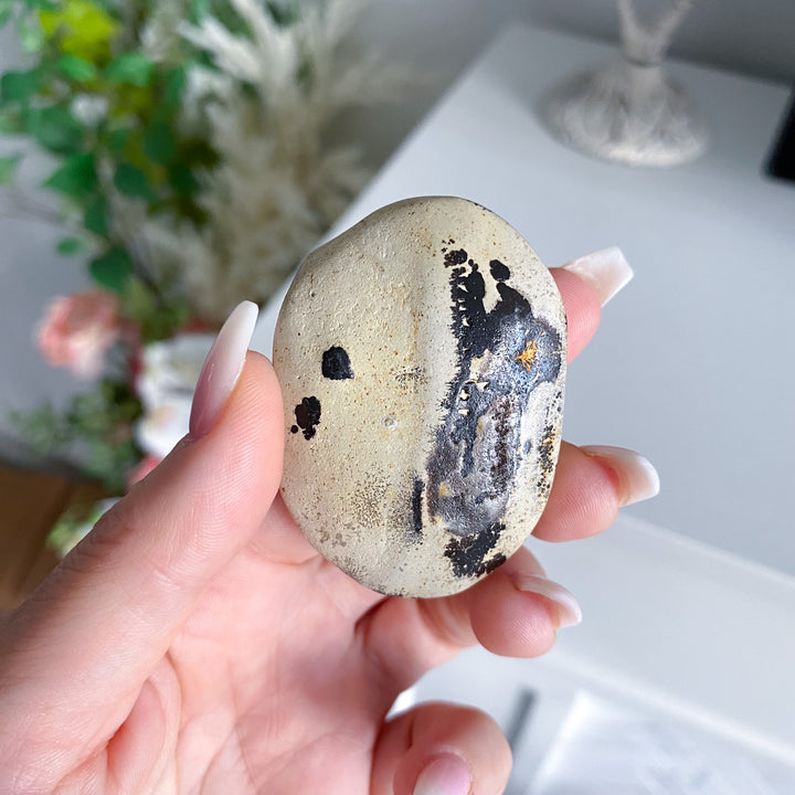 Small Spotted Picture Jasper Palm 
